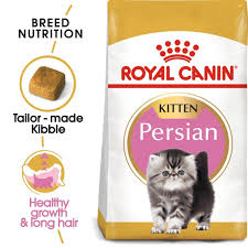 4 Makanan Kering Kucing (Dry Food) Terbaik 4 Rekomendasi royal