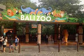 Rekomendasi zoo