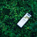 2 Shampo Anti Ketombe Ampuh 6 Rekomendasi igorovsyannykov botanical 3605603 640