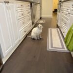 2 Keset Dapur Terbaik 4 Rekomendasi rochelle lee mUv8eis D9c unsplash