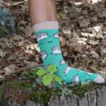 2 Kaos Kaki Motif untuk Pria Terbaik 4 Rekomendasi bare kind nozgqAlWTXo unsplash