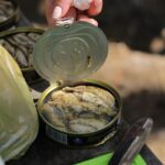 3 Ikan Kaleng Terbaik 5 Rekomendasi ignat kushnarev wPh0NtCfTUI unsplash