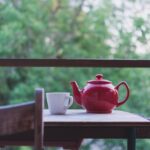 2 Teko Teh Terbaik 6 Rekomendasi jorge garcia 4aJ9GCwB3Gw unsplash